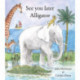 See You Later Alligator