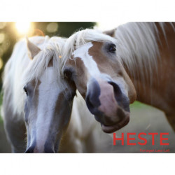 Heste