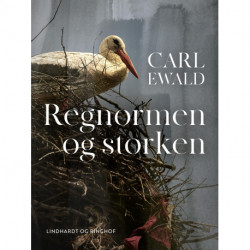Regnormen og storken