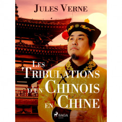 Les Tribulations d'un Chinois en Chine