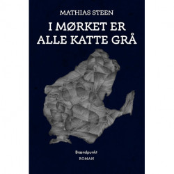 I mørket er alle katte grå: Tåsingehistorier - bind 1