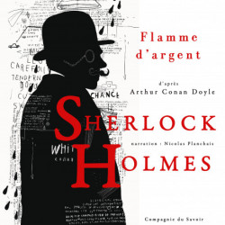 Flamme d'argent, Les enquêtes de Sherlock Holmes et du Dr Watson