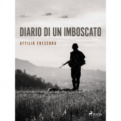 Diario di un imboscato