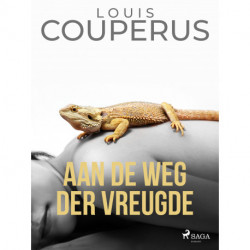 Aan de weg der vreugde