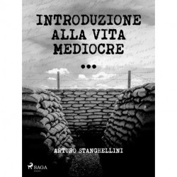 Introduzione alla vita mediocre
