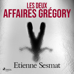 Les Deux Affaires Grégory