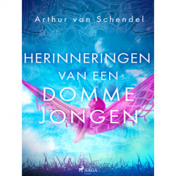 Herinneringen van een domme jongen