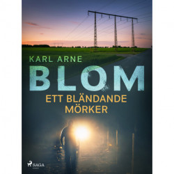 Ett bländande mörker