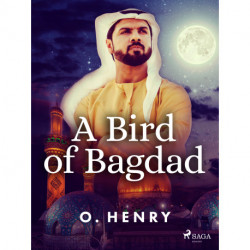 A Bird of Bagdad