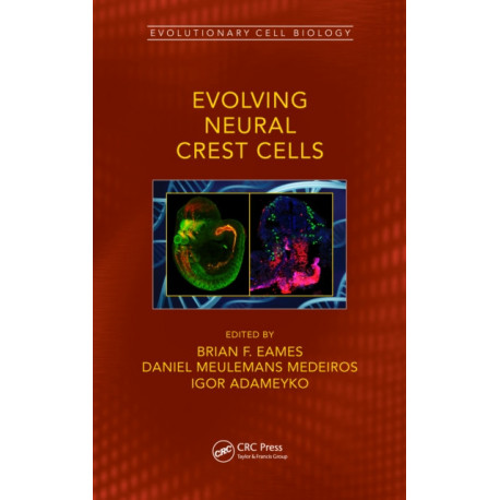 Evolving Neural Crest Cells