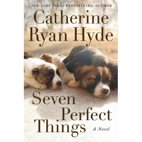 Seven Perfect Things: A Novel