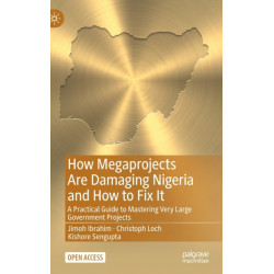 How Megaprojects Are Damaging Nigeria and How to Fix It: A Practical Guide to Mastering Very Large Government Projects