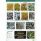 Guide to Common Urban Lichens