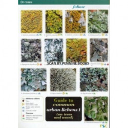 Guide to Common Urban Lichens