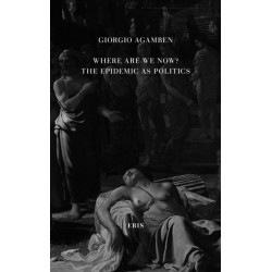 Where Are We Now?: The Epidemic as Politics - Second Updated Edition