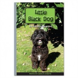 Little Black Dog