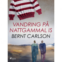 Vandring på nattgammal is