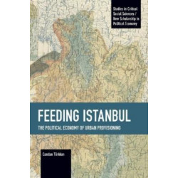 Feeding Istanbul: The Political Economy of Urban Provisioning