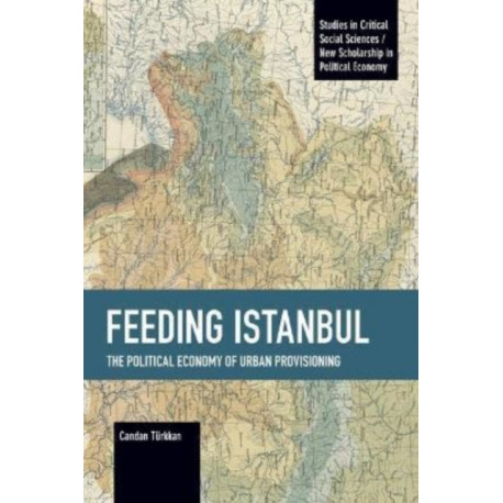 Feeding Istanbul: The Political Economy of Urban Provisioning