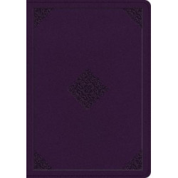 ESV Single Column Journaling Bible, Large Print
