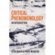 Critical Phenomenology: An Introduction