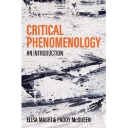 Critical Phenomenology: An Introduction