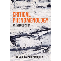 Critical Phenomenology: An Introduction