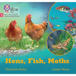 Hens, Fish, Moths: Phase 2 Set 5 Blending Practice