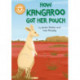 Reading Champion: How Kangaroo Got Her Pouch: Independent Reading Orange 6