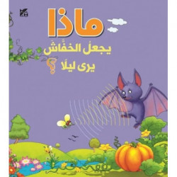 What Makes a Bat See at Night