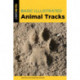 Basic Illustrated Animal Tracks