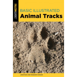 Basic Illustrated Animal Tracks