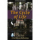 The Cycle of Life: A Caribbean Reflection