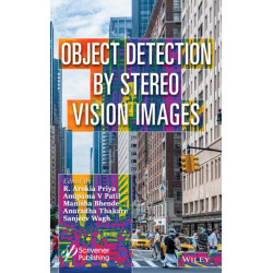Object Detection by Stereo Vision Images