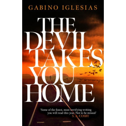 The Devil Takes You Home: the acclaimed up-all-night thriller
