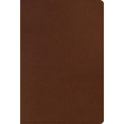 ESV Men's Study Bible