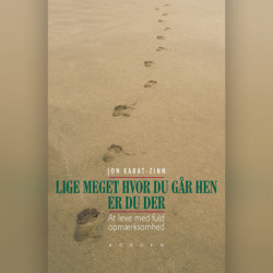 Lige meget hvor du går hen, er du der: at leve med fuld opmærksomhed