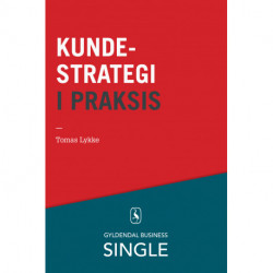 Kundestrategi i praksis