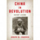 China in Revolution: History Lessons