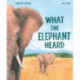 What the Elephant Heard