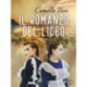 Il romanzo del liceo
