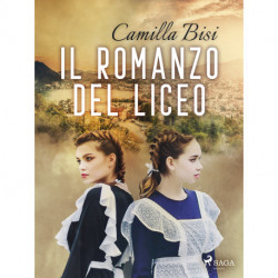 Il romanzo del liceo