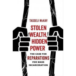 Stolen Wealth, Hidden Power: The Case for Reparations for Mass Incarceration