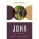 John: Responding to the Incomparable Story of Jesus