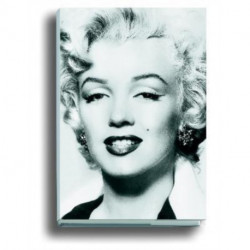 Silver Marilyn: Marilyn and the Camera