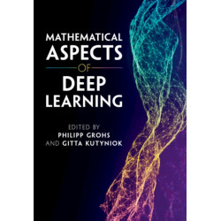Mathematical Aspects of Deep Learning