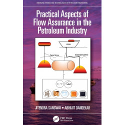 Practical Aspects of Flow Assurance in the Petroleum Industry