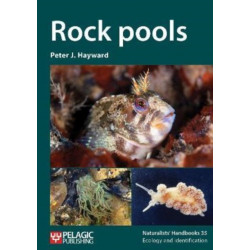 Rock pools