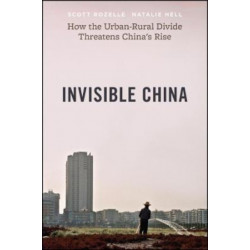 Invisible China: How the Urban-Rural Divide Threatens China's Rise