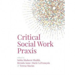 Critical Social Work Praxis